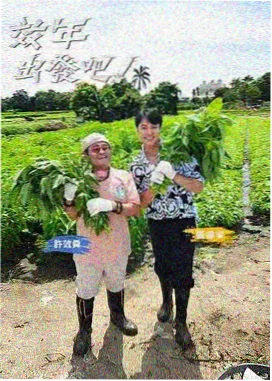 平台排播观察配图